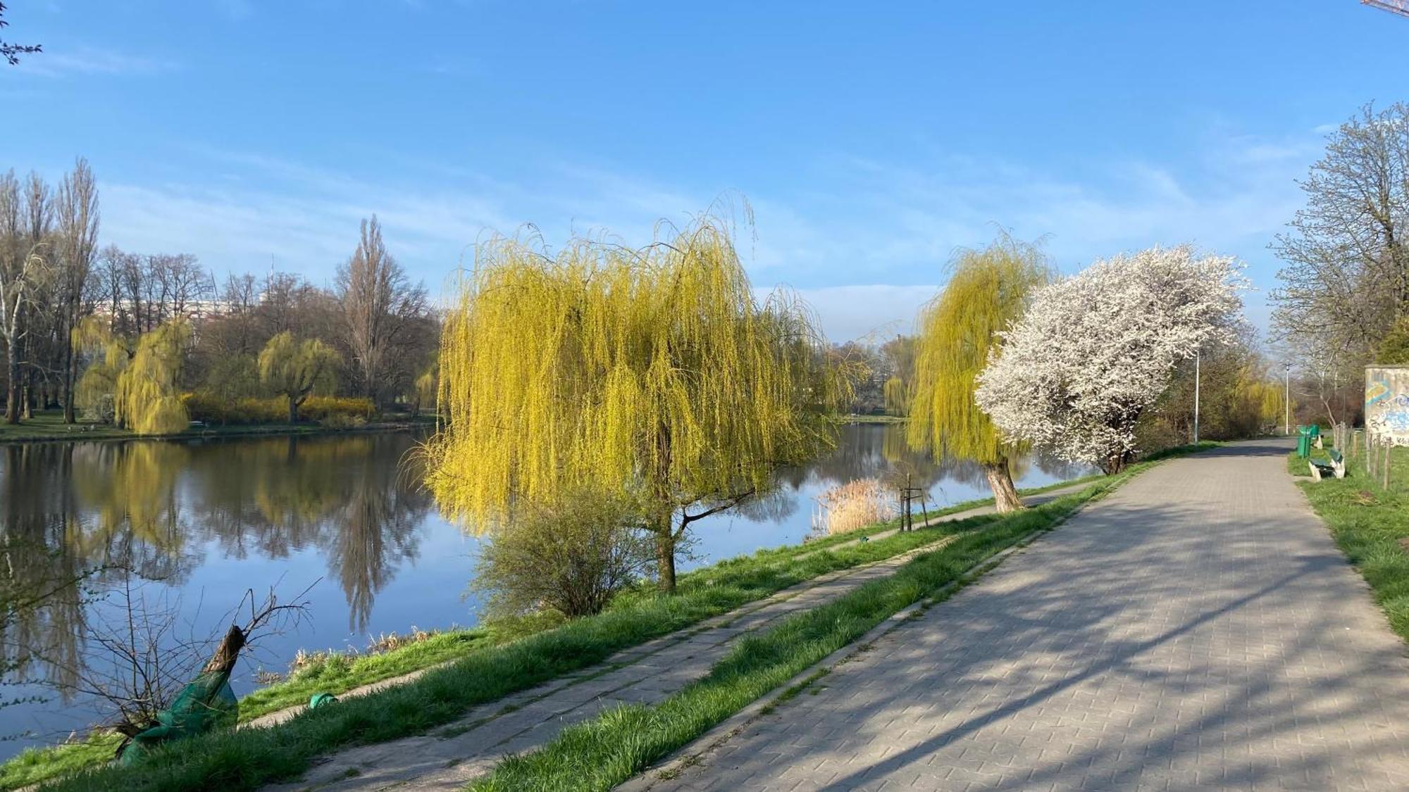 Przy Wedlu Warszawa